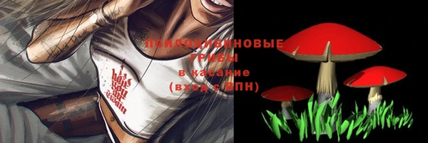 Альфа ПВП Абинск