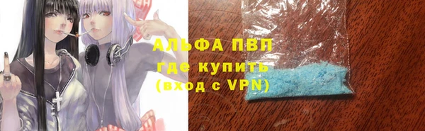 PSILOCYBIN Осинники
