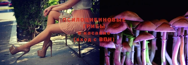 mix Абаза