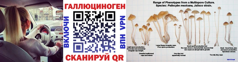 сайты даркнета состав  omg сайт  Карасук  Псилоцибиновые грибы Psilocybine cubensis 
